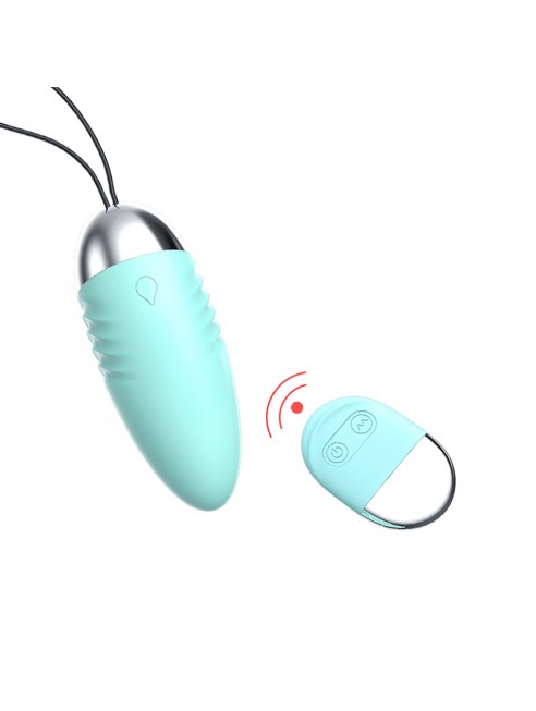 Oeuf vibrant turquoise avec télécommande USB
