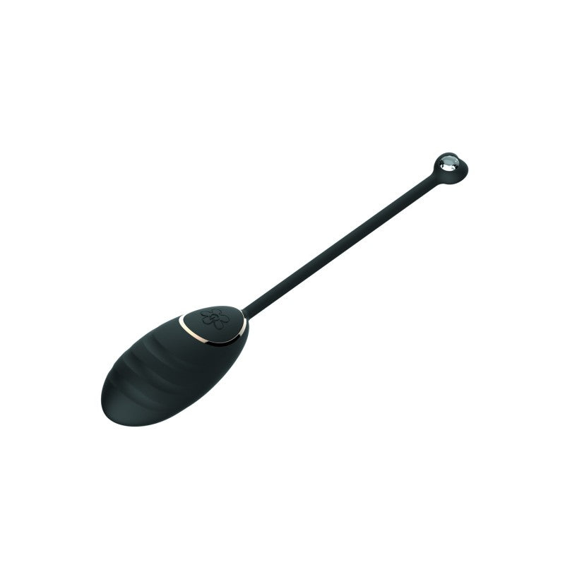 Œuf Vibrant Daisy Noir Télécommandé USB - Silicone